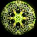 Color Spirit Kaleidoscope in Greenery, Oil Filled Cell.
