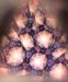 Kaleidoscope Sea Garden Shell Pink By Joanne Jacobs